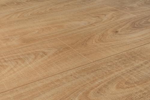 Tropical Borneo Maple ENDLESS Collection