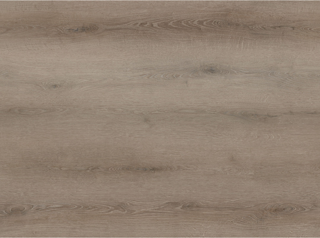 Vinyl COFFEE FEATHER BB-VI The Bambino Collection