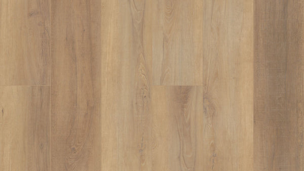 Vinyl Canterbury Elm VV488 CORETEC PRO PLUS XL ENHANCED HD COLLECTION