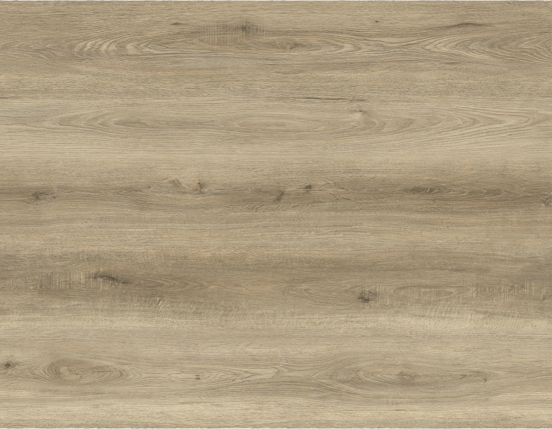 Vinyl DOLCE BB-I The Bambino Collection