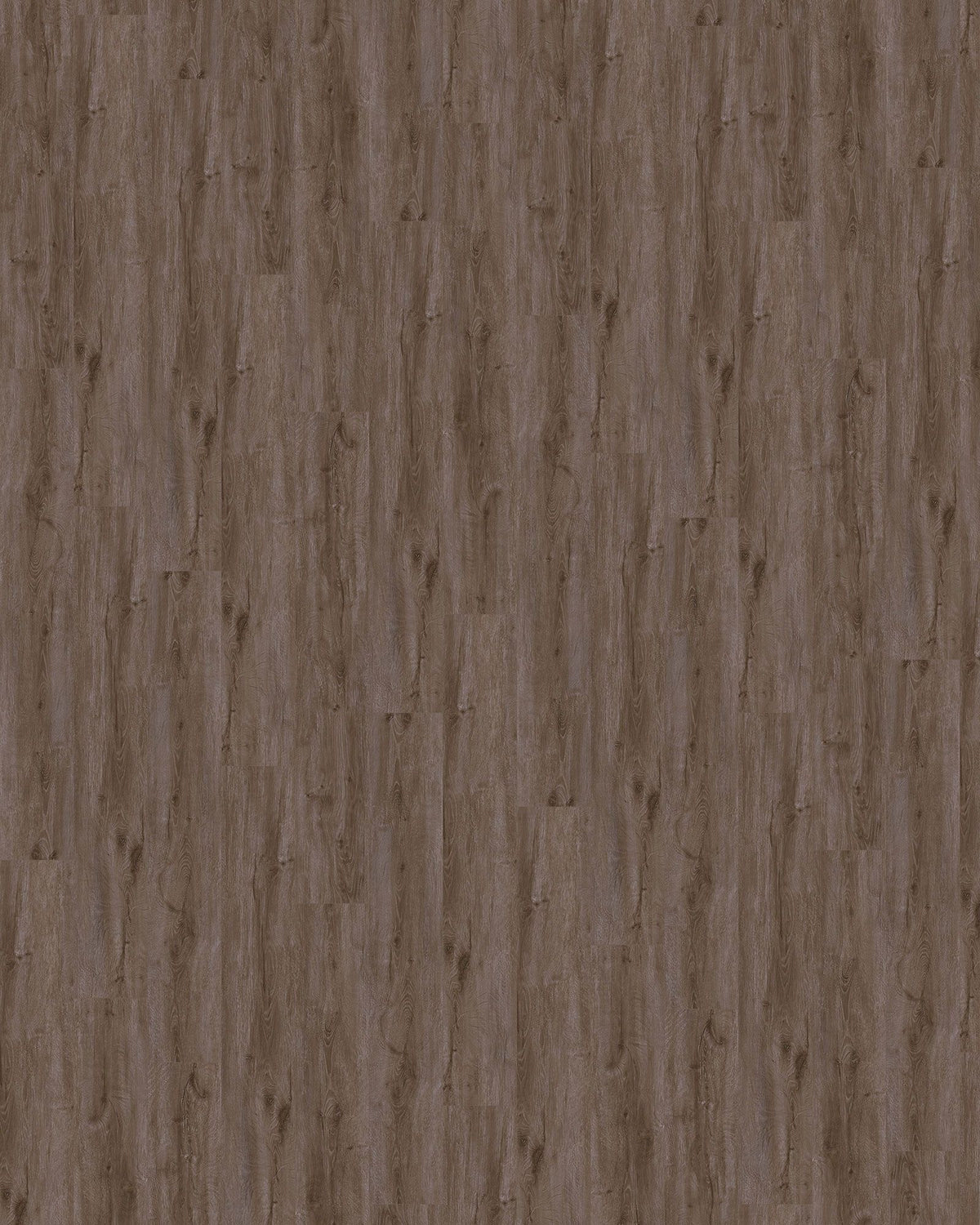 Modern Home Concepts Denali CHR-DEN Christina Collection