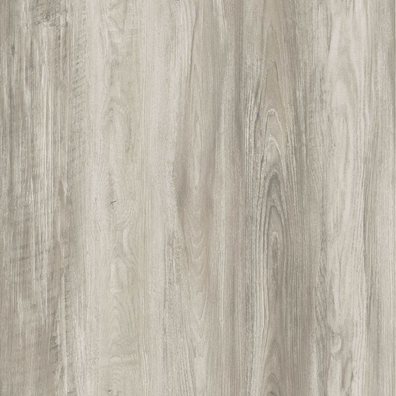 Vinyl ERIS R-807 ROMAN Collection