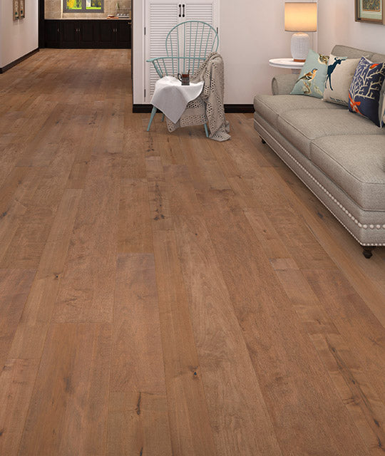 Eagle Creek Finley DH647P Regal Collection