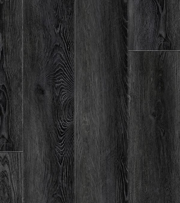 VINYL  HUDSON DVRVP551-C  EVOLUTION COLLECTION