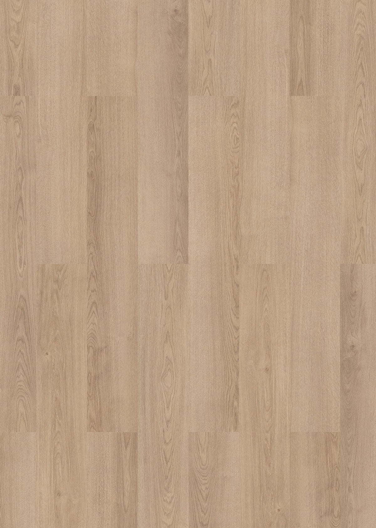 Laminate HOBART INH56355 Visions 8 MM