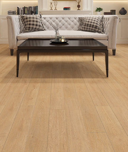 Eagle Creek MAVERICK DVRVP553-C EVOLUTION COLLECTION