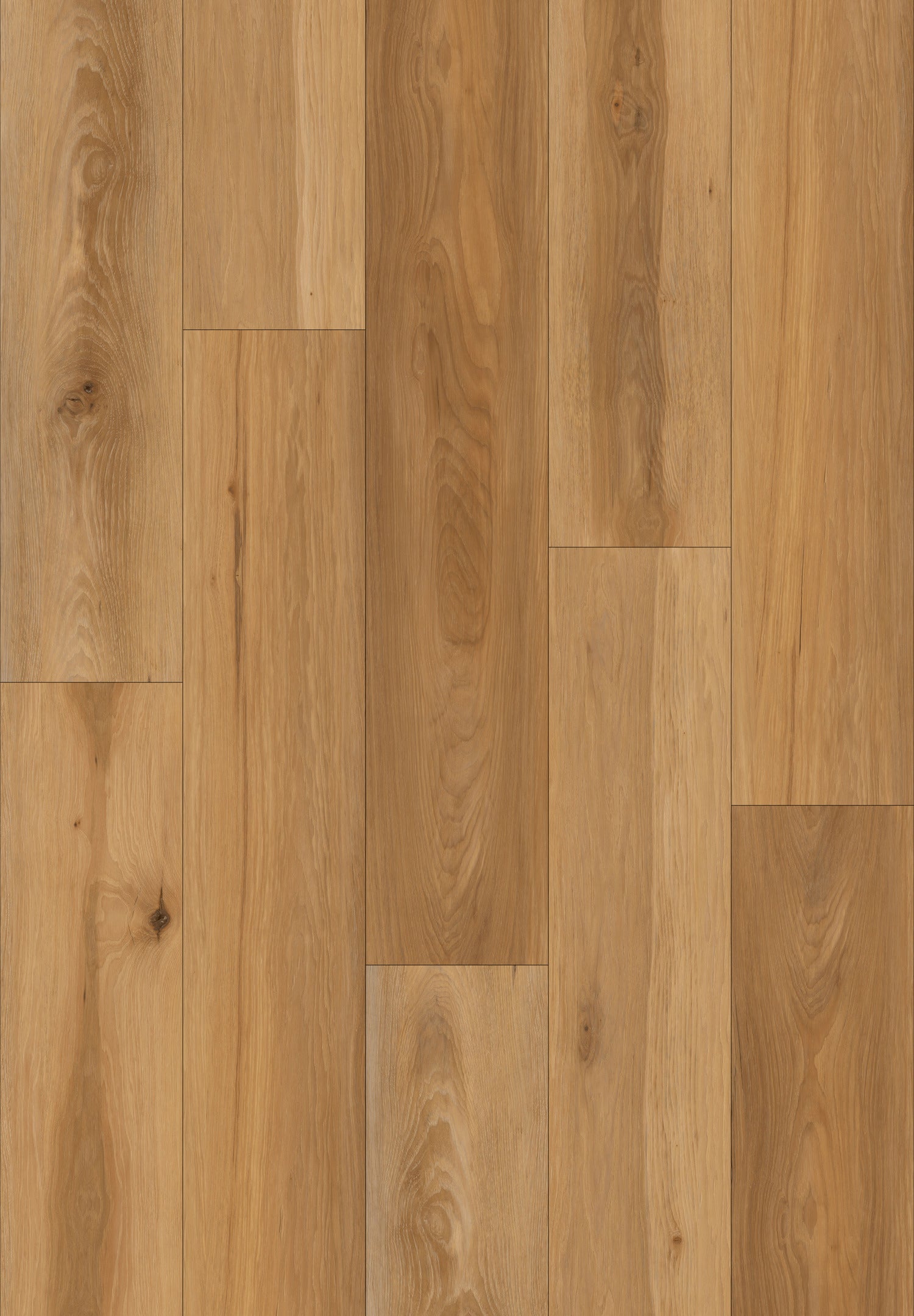 Vinyl Miami  HAL7601217 Maverick 12 mil