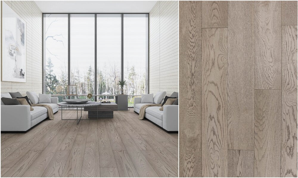 Montserrat MOD TITANIUM MNST-2019048 Elysian