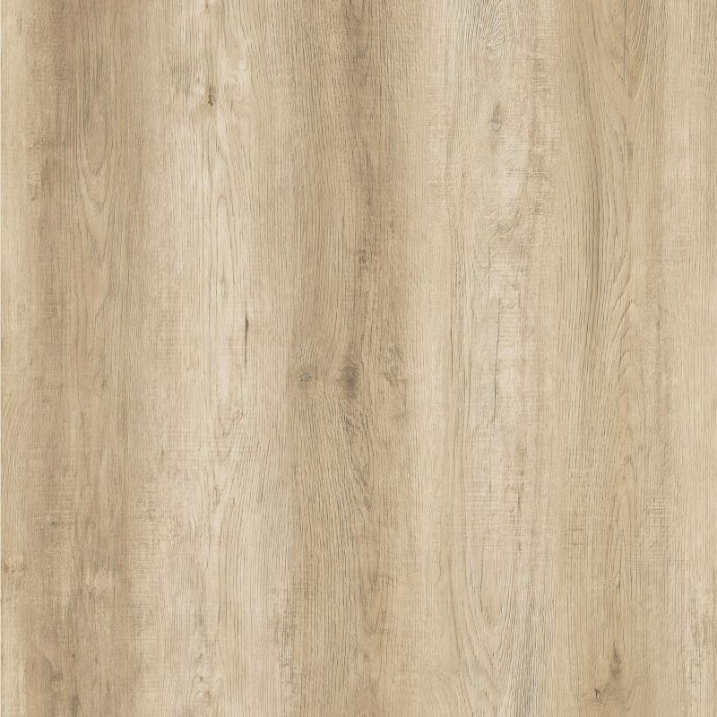 Vinyl OCEANUS R-804 ROMAN Collection