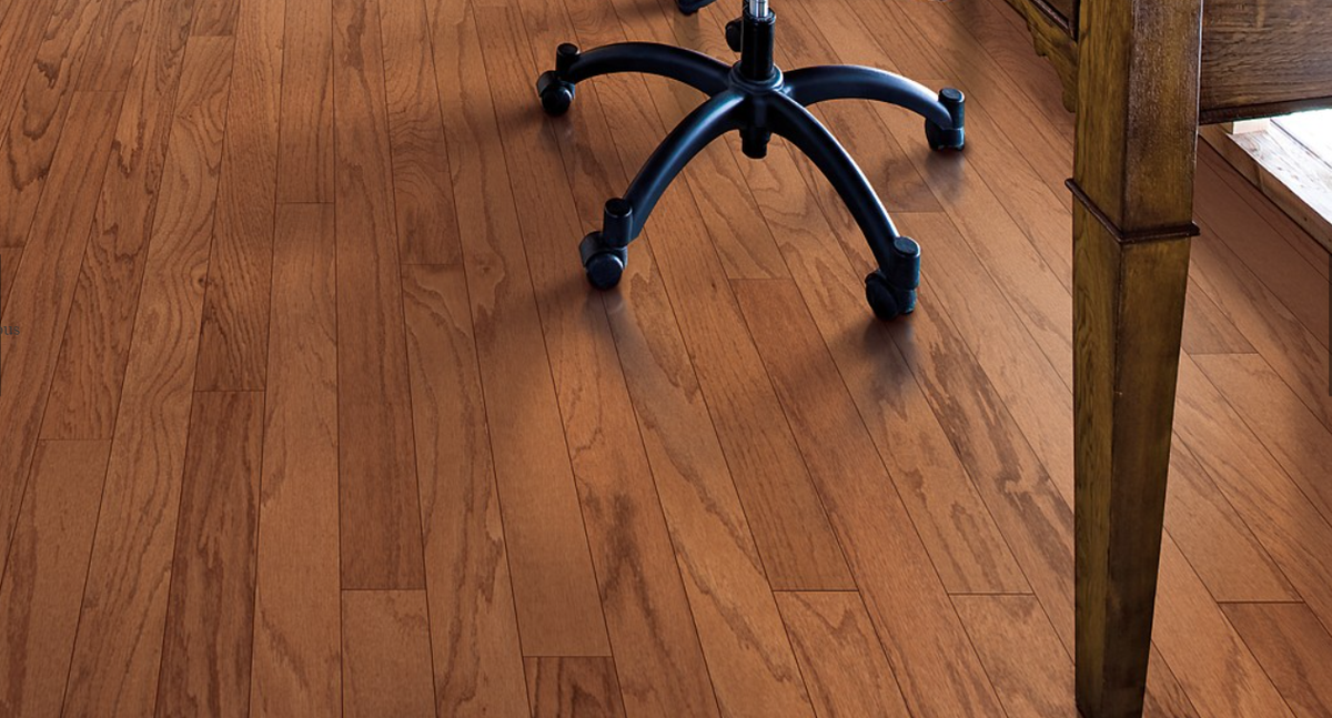 Mohawk Oak Golden Woodmore 3"