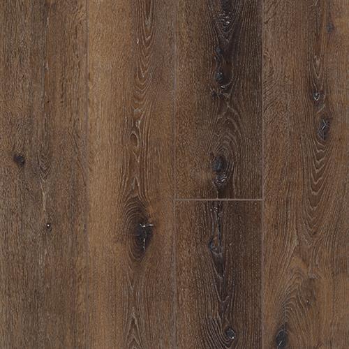 Vinyl Oasis Aspire  Collection
