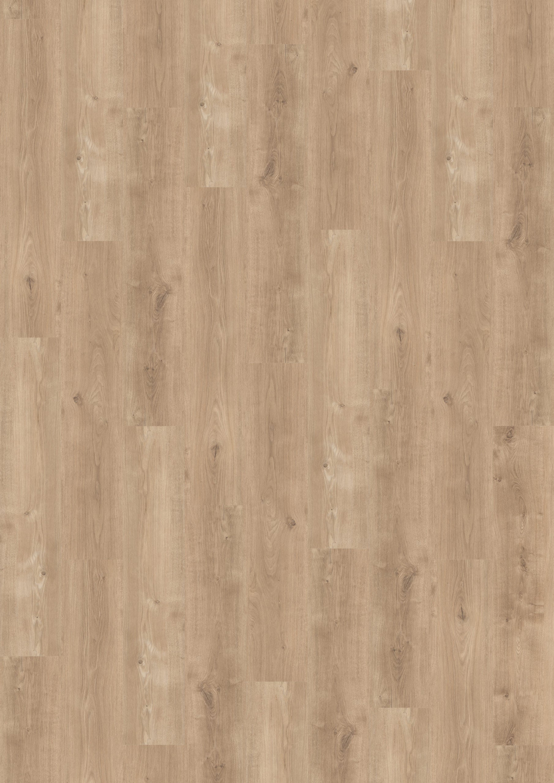 Vinyl PRISTINE HALHR7883 High Rise 6 mil