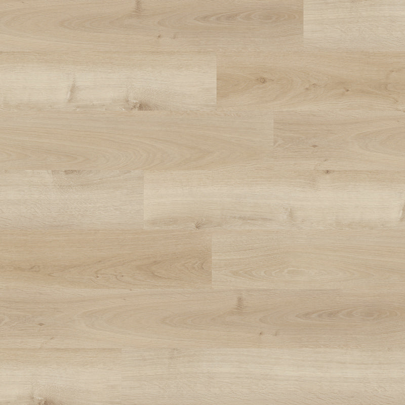 Nova Vinyl Pearl NDP001-HDC DANSBEE HDC