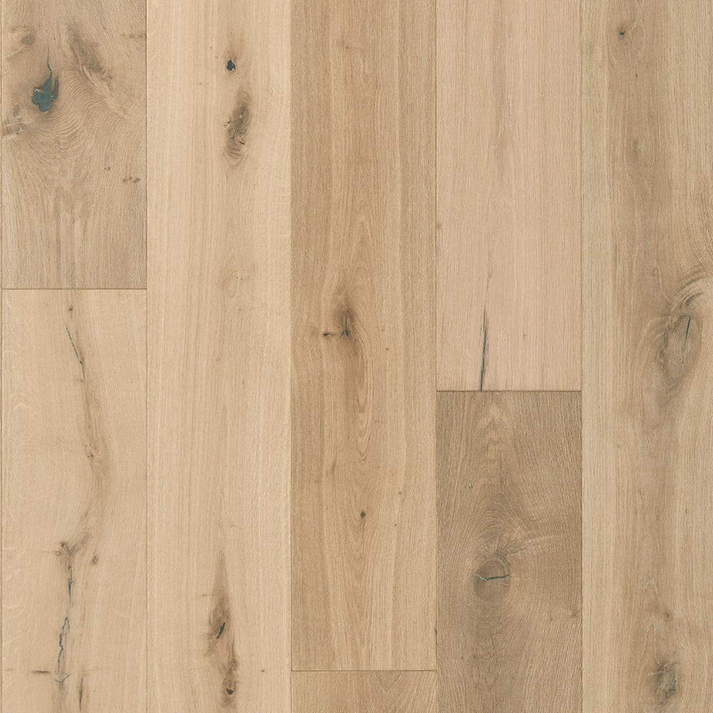 Mannington Shell SANC10SHL1 Sanctuary — alternate view