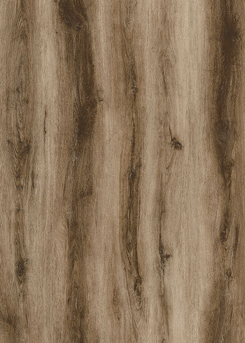 Vinyl PM508 Sierra Forest  Pro Max