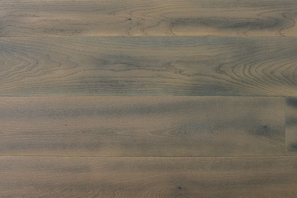 Tropical Sycamore BNF-53 Bonafide