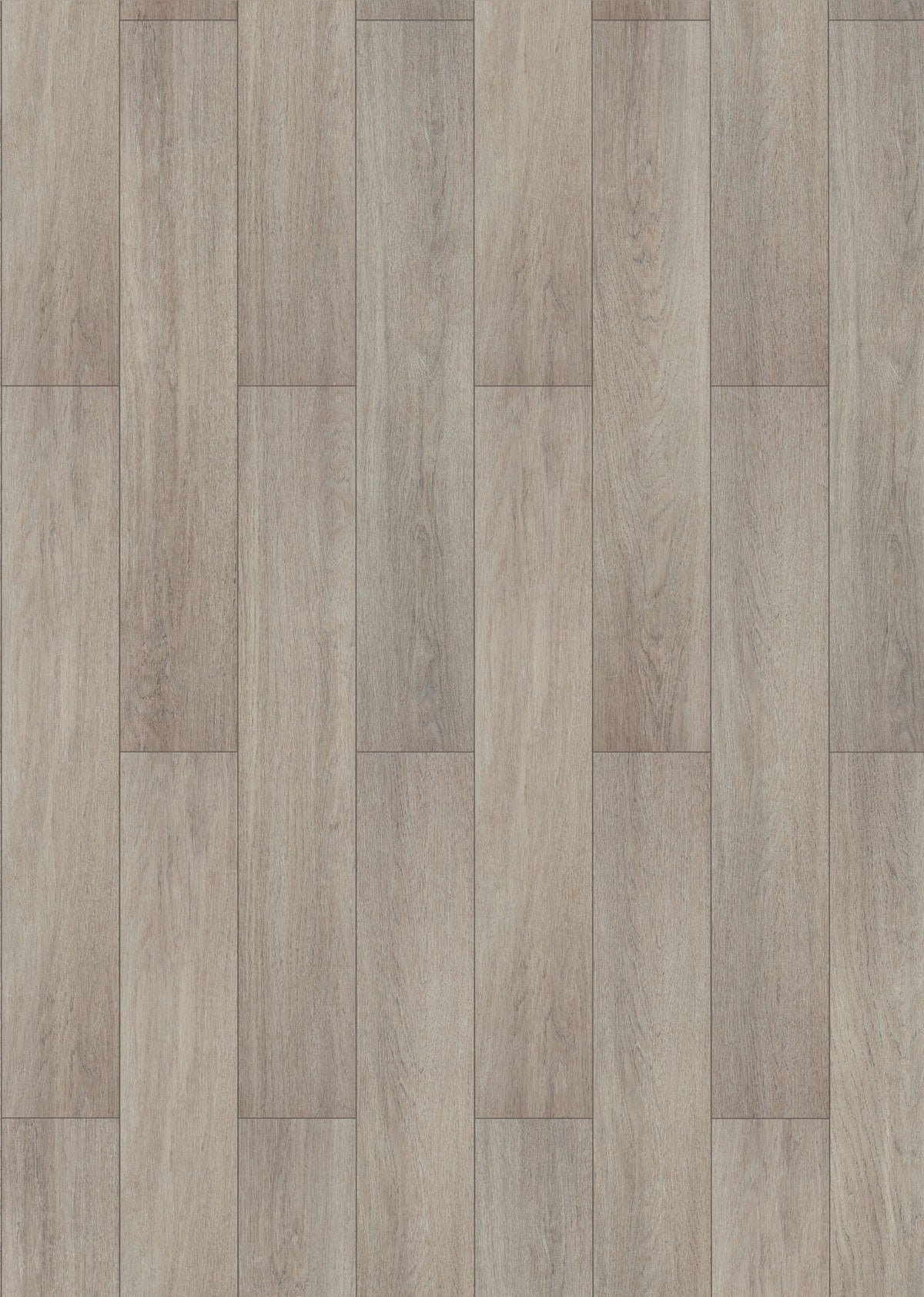 Laminate SYDNEY  INH56358 Visions 8 MM