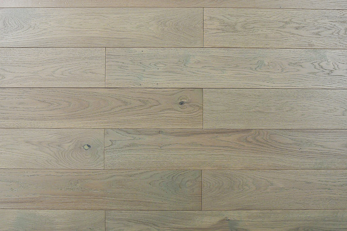 Tropical Jubilee Taupe Jubilee Collection