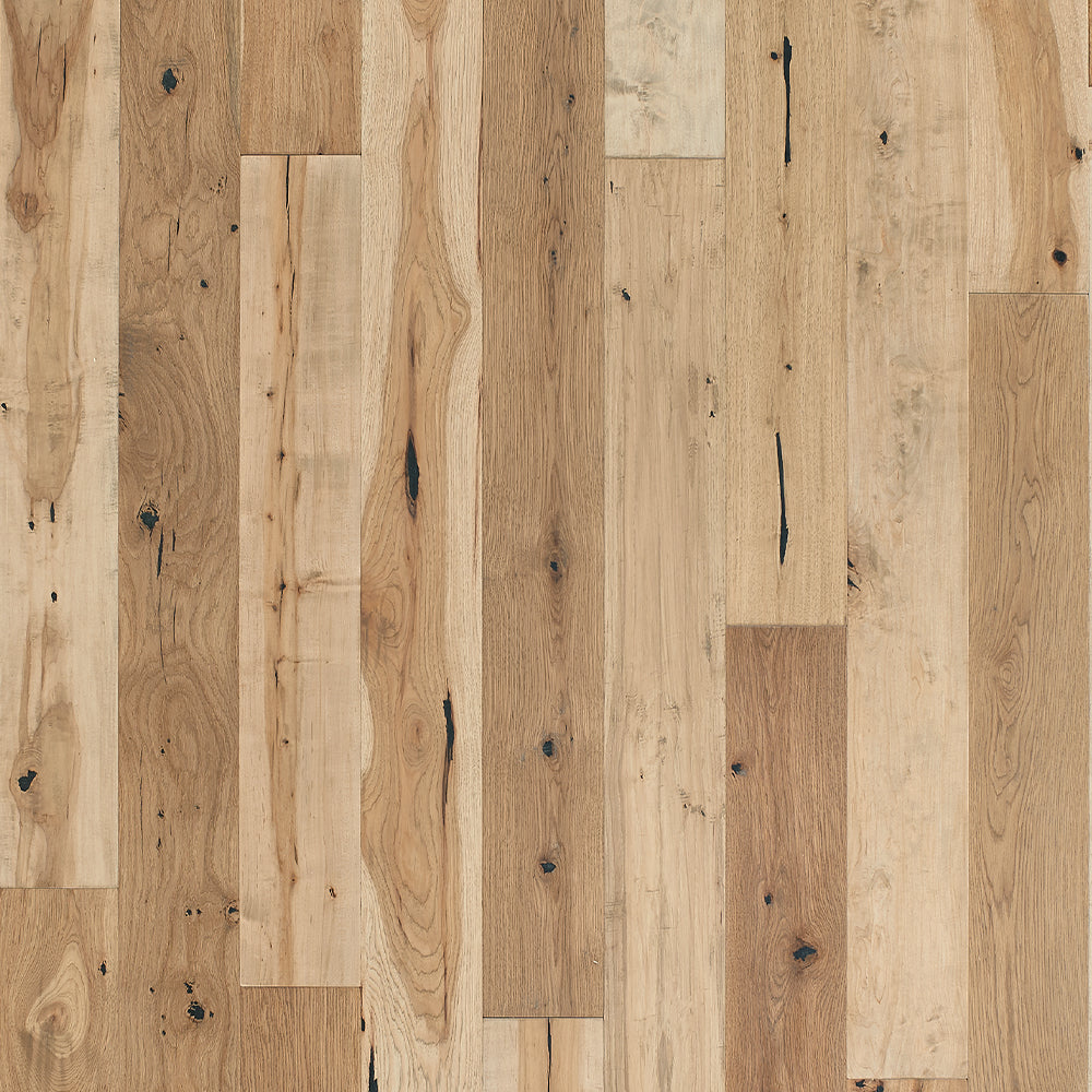 Hardwood Platinum TRP07PT1 Triumph