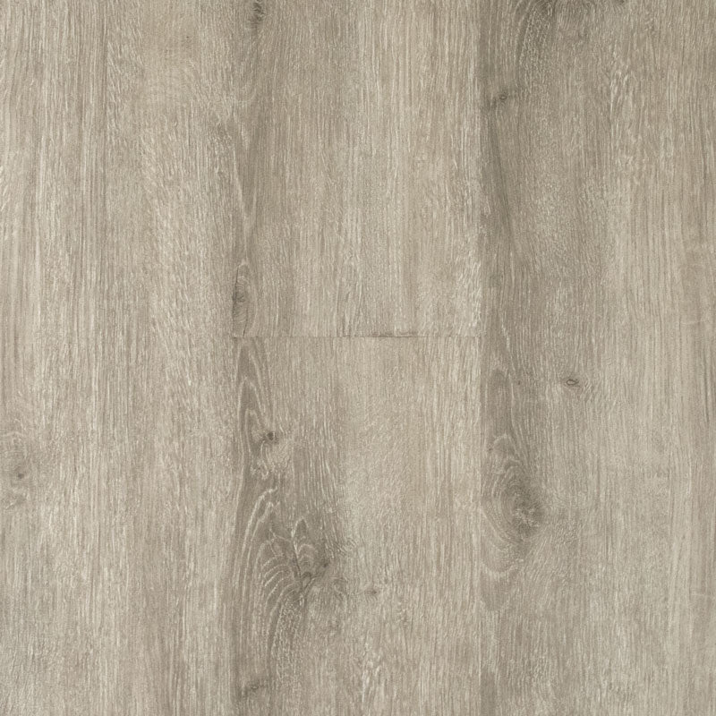 Msisurfaces YORK GRAY VTRYORGRA7X48-4.4MM-6MIL ASHTON