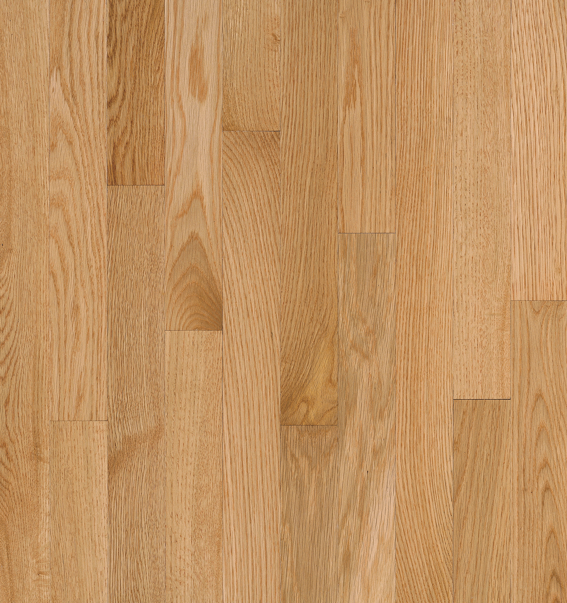 Hardwood Natural 2 1/4" Low Gloss C5010LG NATURAL CHOICE