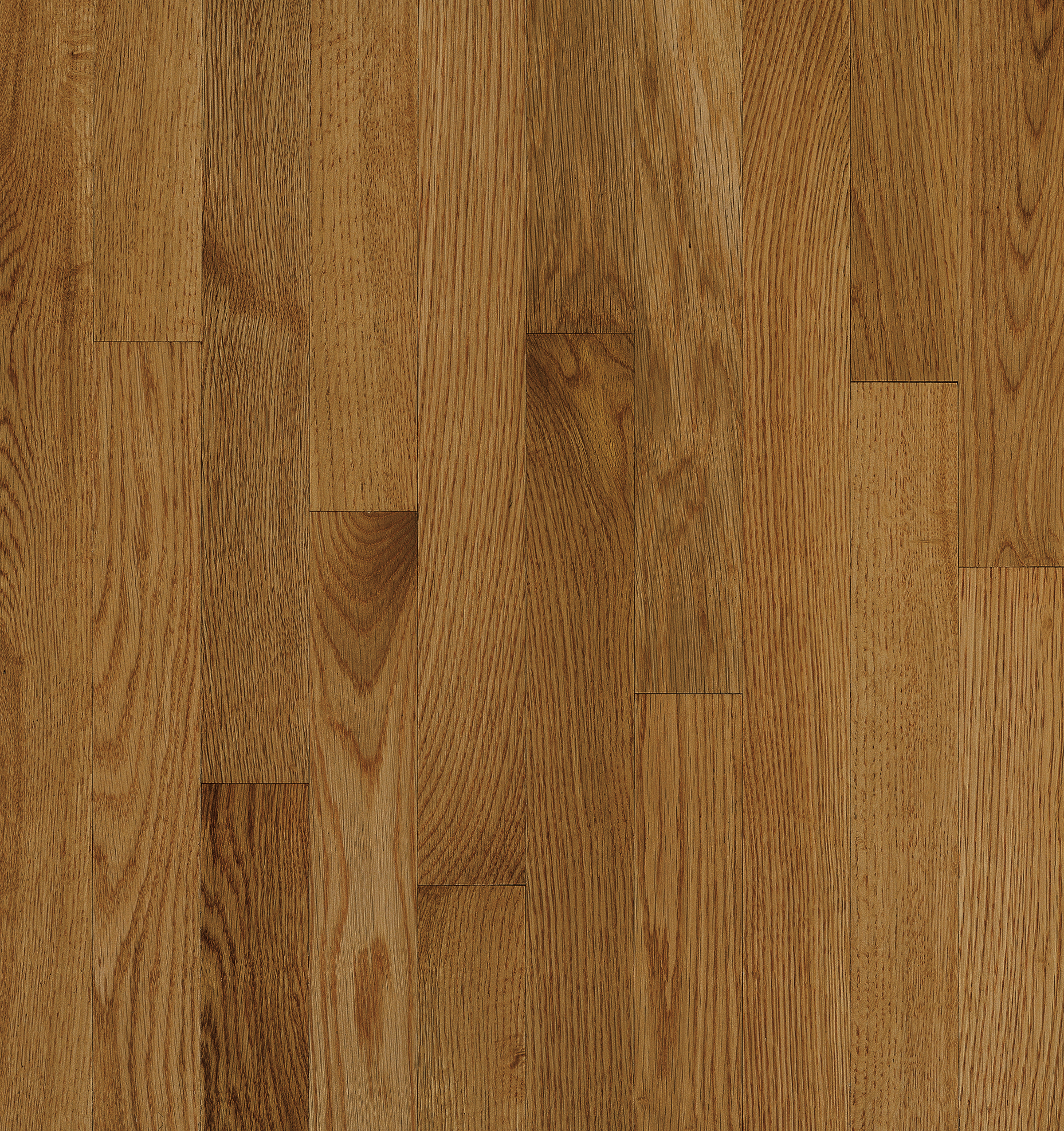 Hardwood Spice 2 1/4" Low Gloss C5012LG NATURAL CHOICE
