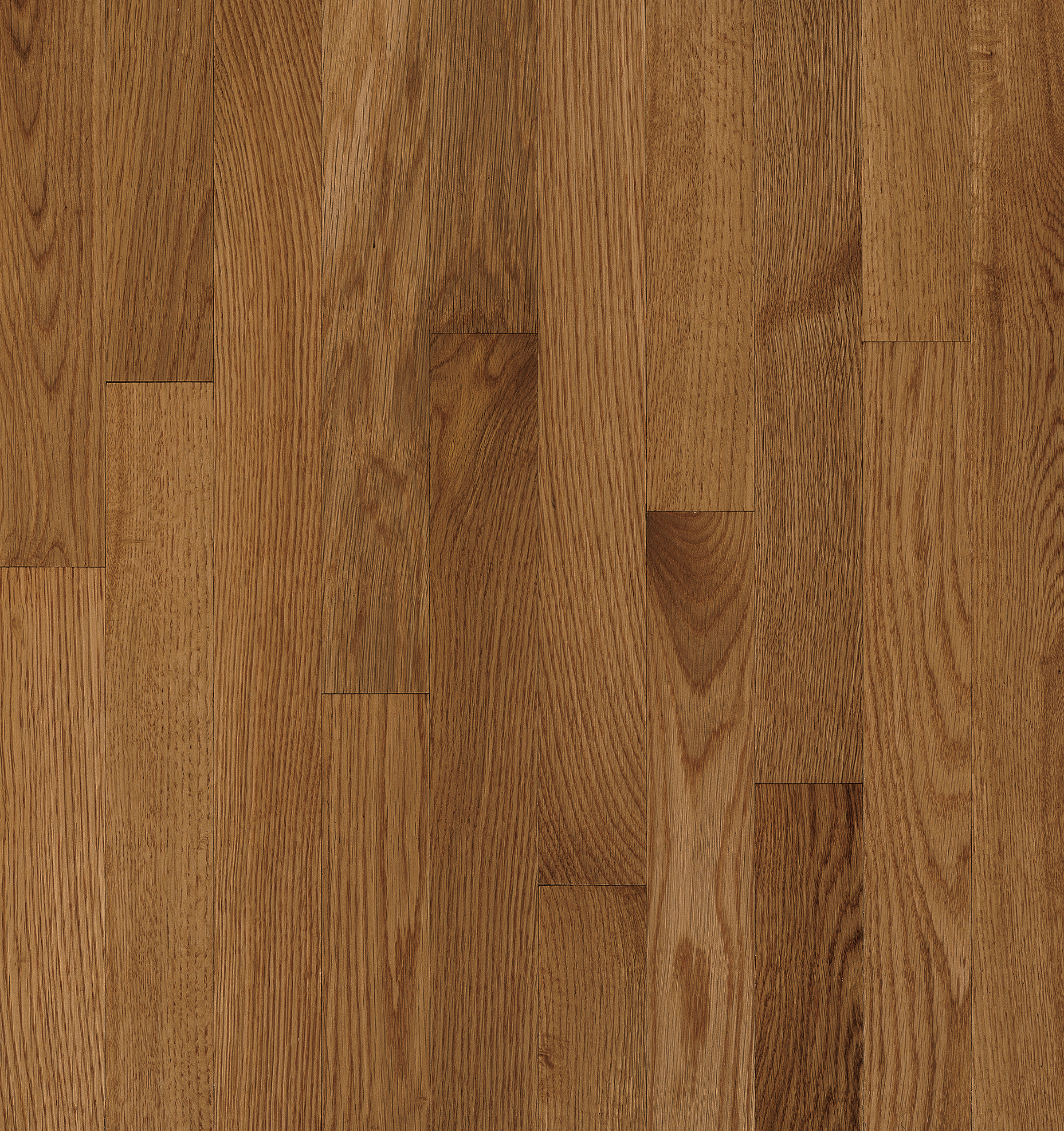 Hardwood Mellow 2 1/4" High Gloss C5014 NATURAL CHOICE