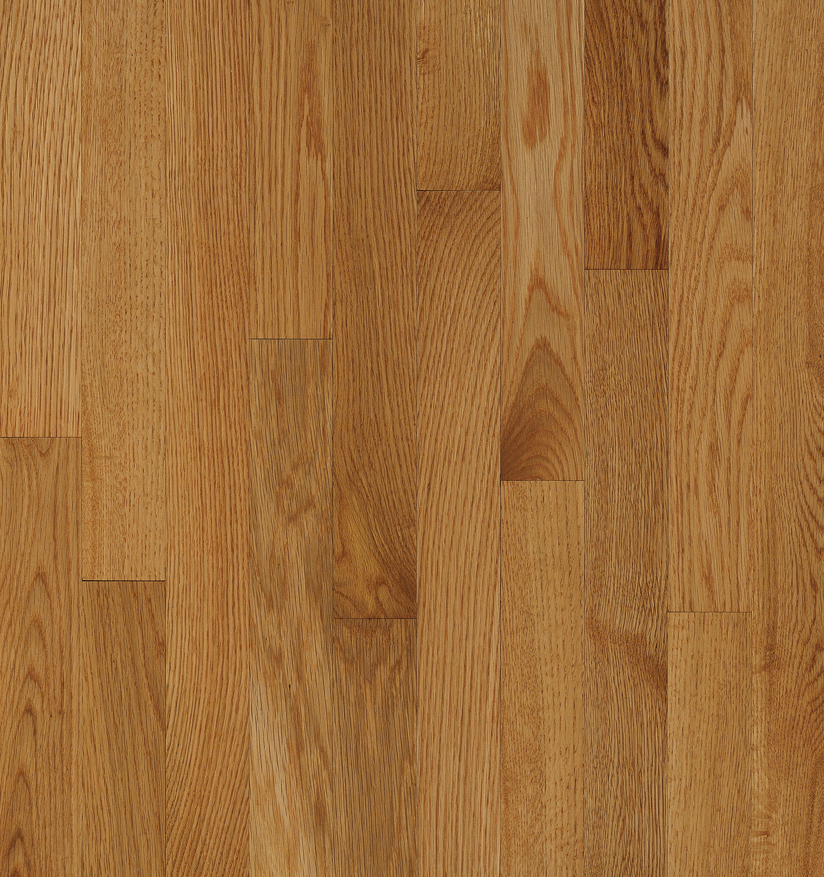Bruce Desert Natural 2 1/4" High Gloss C5061 NATURAL CHOICE — alternate view
