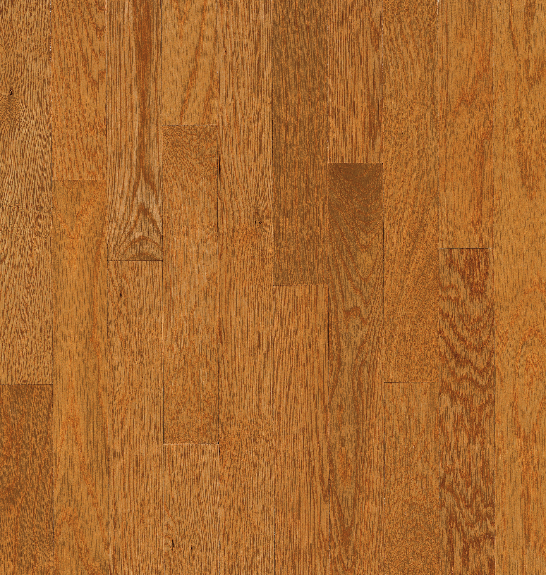 Hardwood Butter Rum/Toffee 2 1/4" Low Gloss C5216LG NATURAL CHOICE