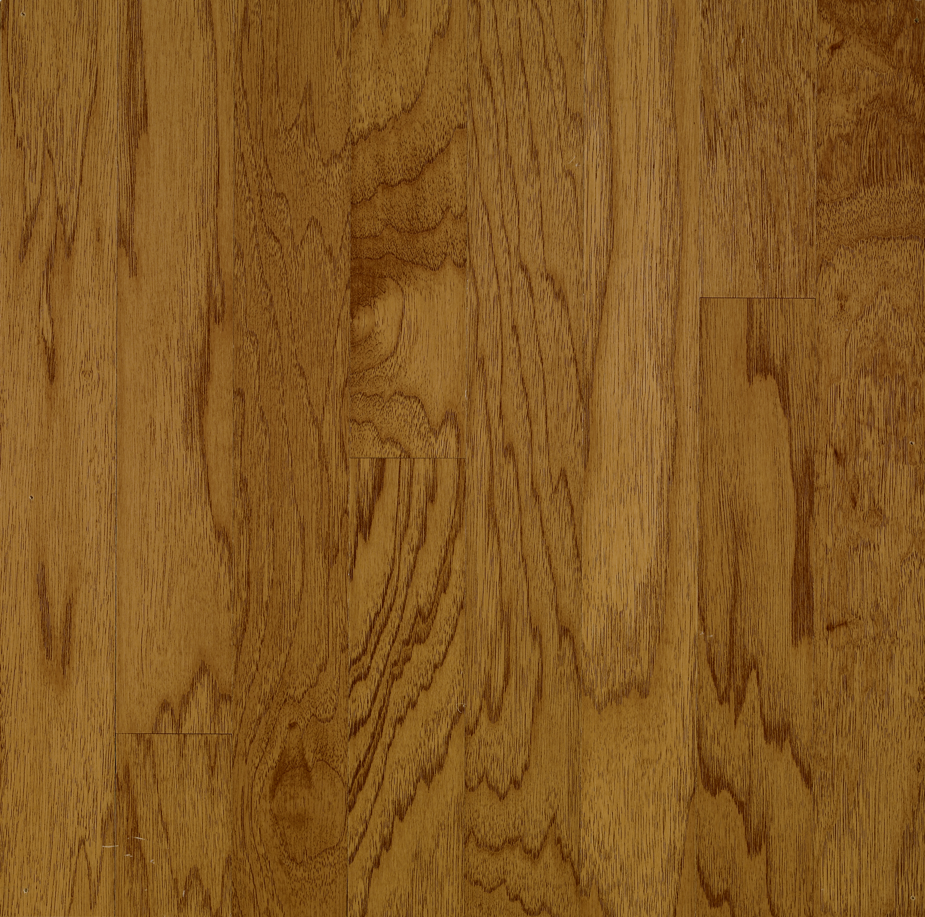Hardwood Oxford Brown 5" C5717 American Treasures