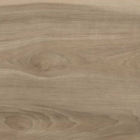 Vinyl   Carya Pecan SPC Flooring