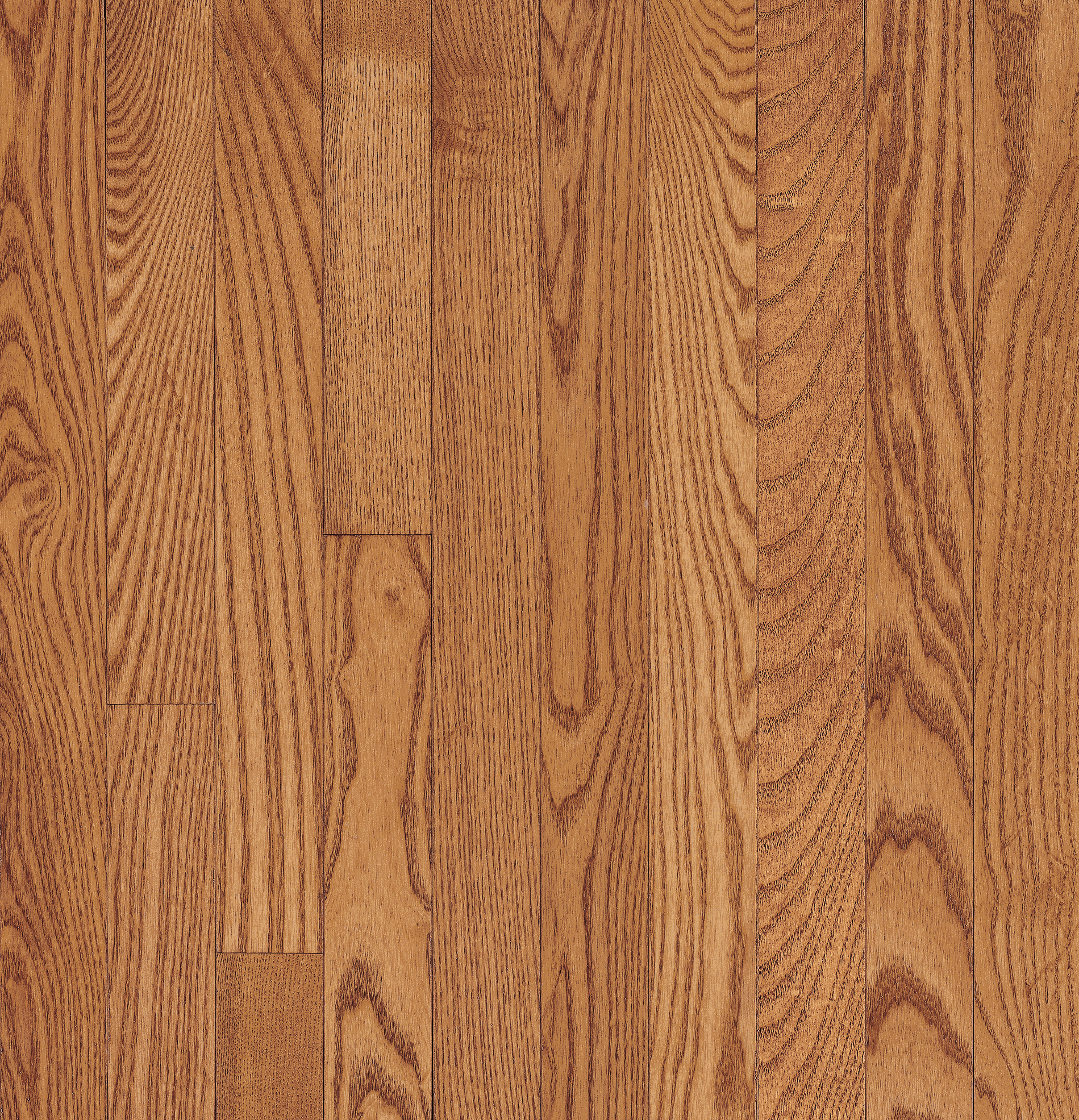 Hardwood Butterscotch 4" CB4216 Dundee WIDE PLANK