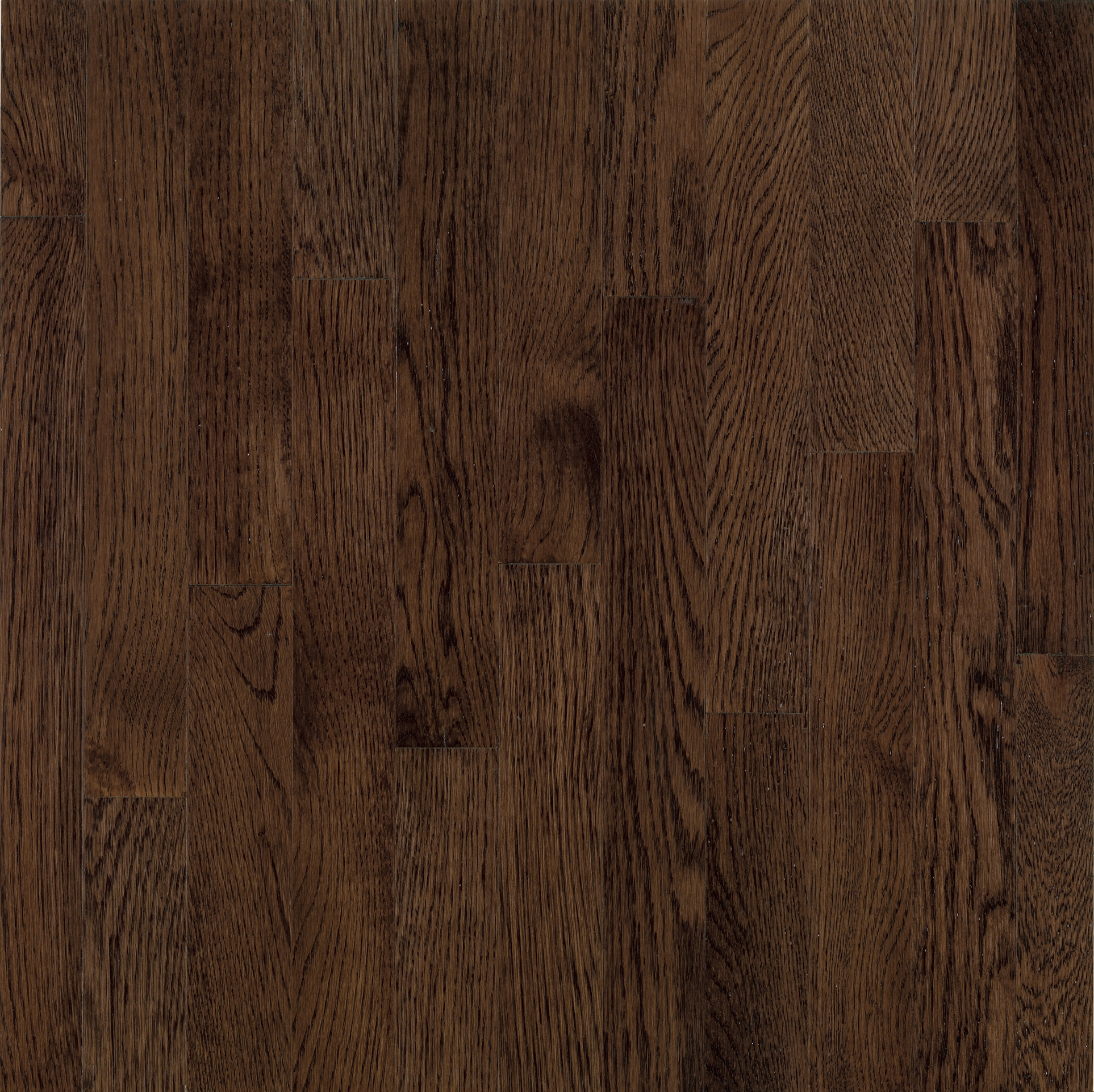 Hardwood Mocha 3 1/4" CB777 WESTCHESTER