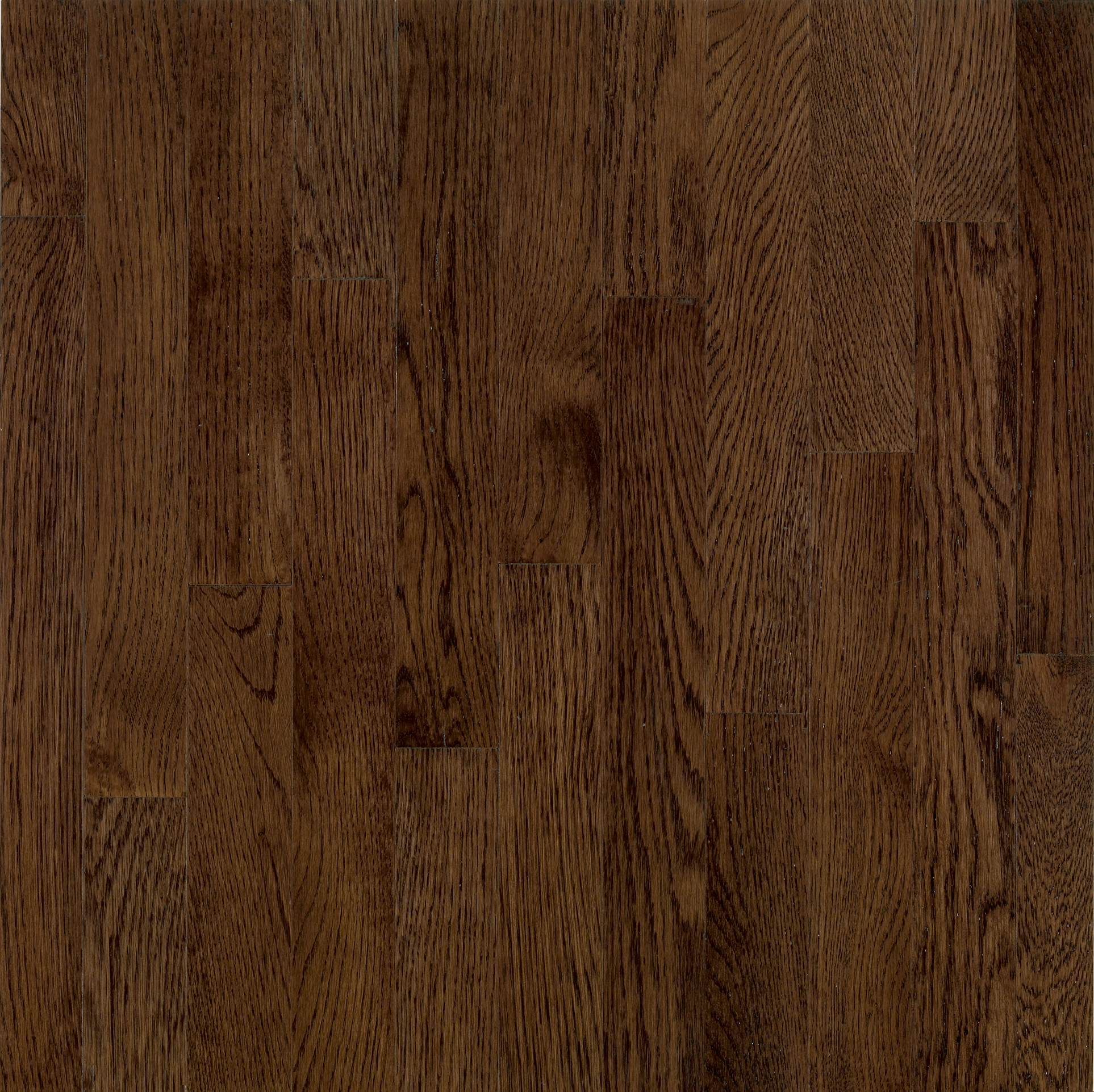 Hardwood Mocha 3 1/4" CB1277 Dundee PLANK