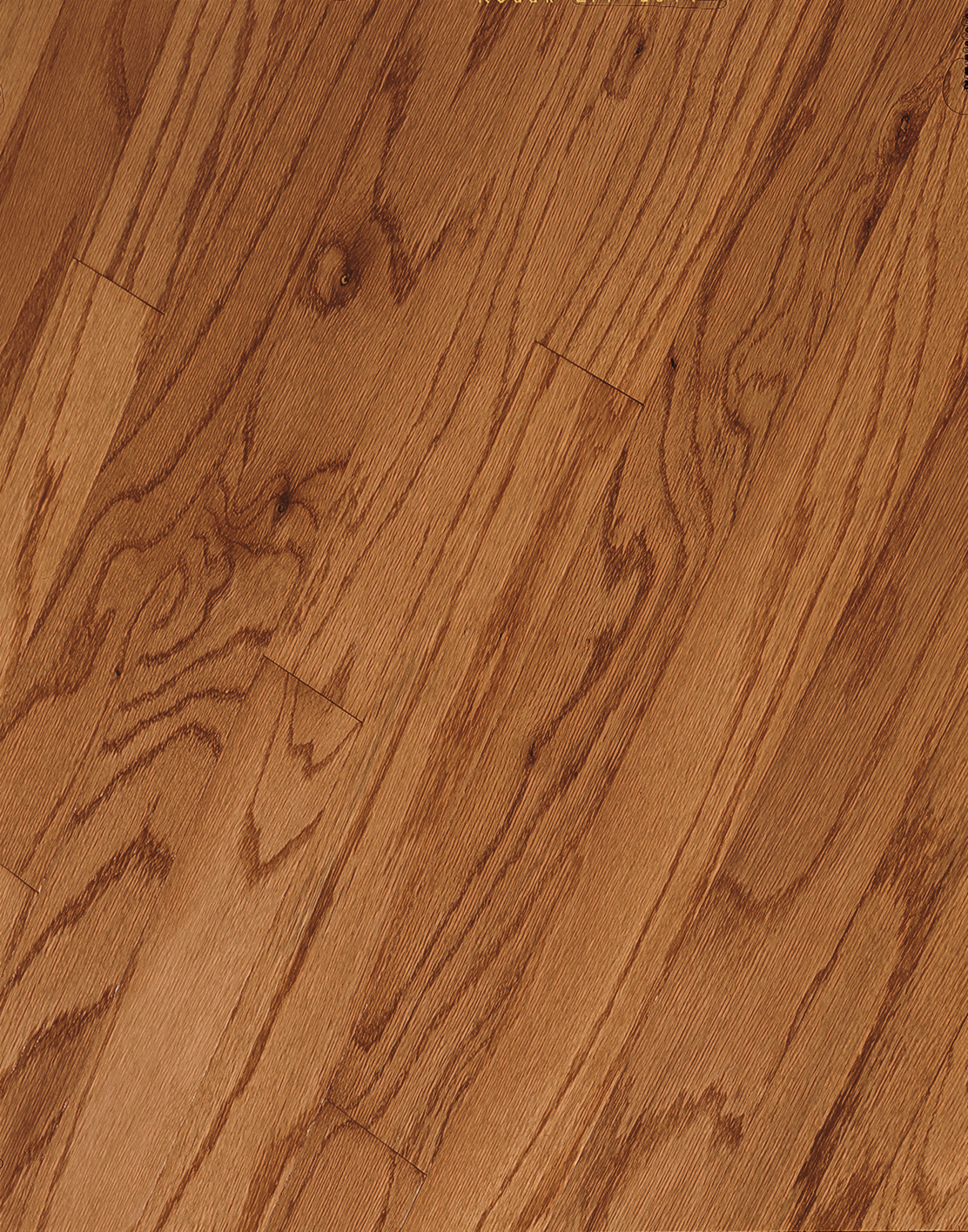 Hardwood Butterscotch 3"  EB-526EE SPRINGDALE PLANK