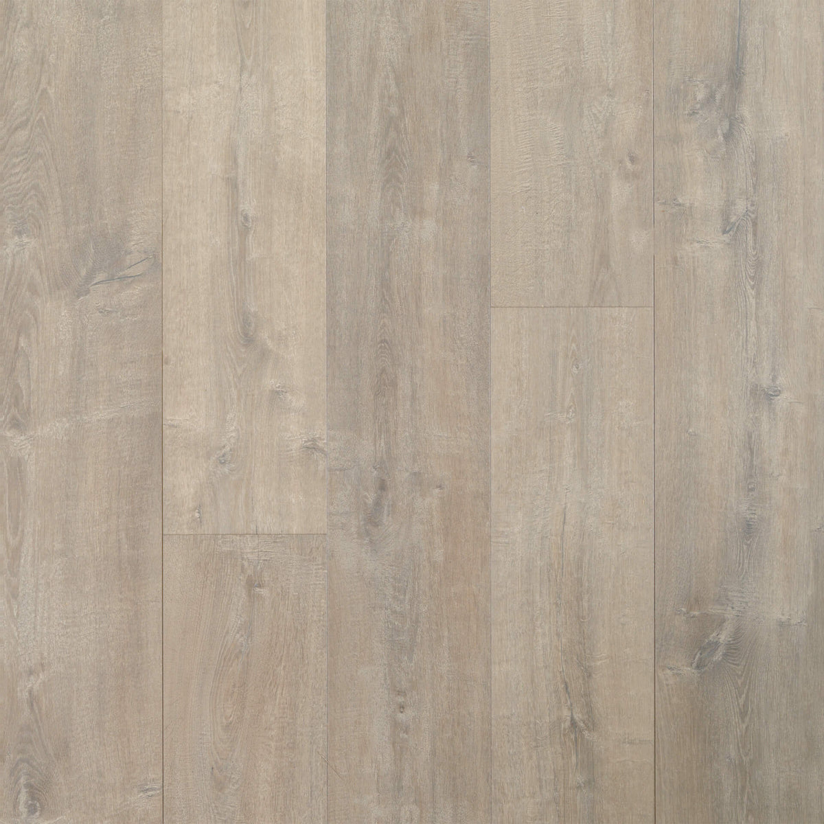 Quick Step Providence Oak UC4043 NatureTEK PLUS Colossia Collection