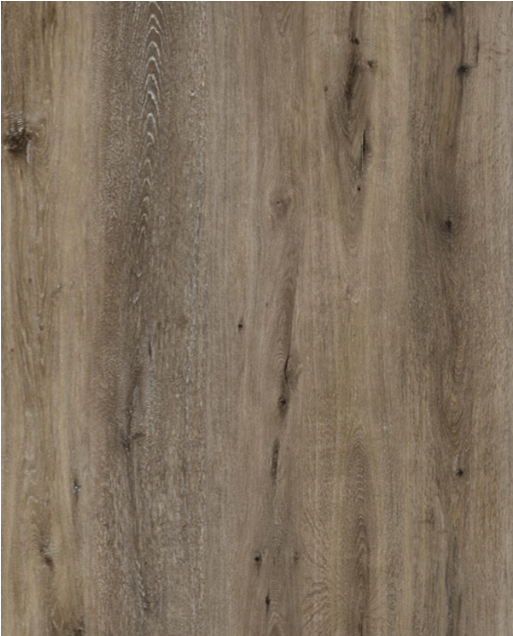 Alston Winterborne Dean Forest SPC Collection